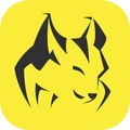 SummitLynx
