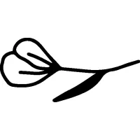Sunshine Enclosures logo