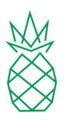 Suntek Corp Solutions