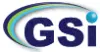 Global Surface Intelligence logo
