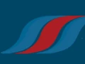 Surfwaves
