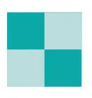 Survey Solutions logo