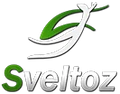 Sveltoz Solutions