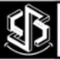 SwagStyler logo