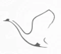 Swan Silk