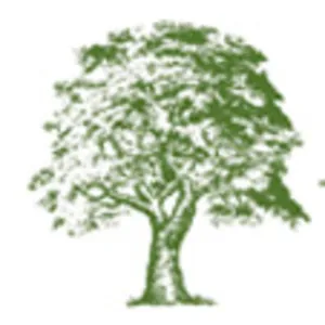 Sycamore Partners logo