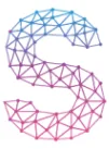 Symmetry Networks logo