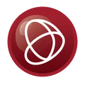 Synchrono logo