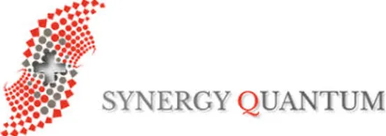 Synergy Quantum