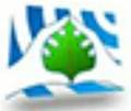 Synod Bio Science