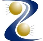 Technologies Solutions Group logo