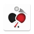 Table Tennis Match