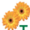 Tadimety Aromatics logo