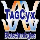 TAGCyx