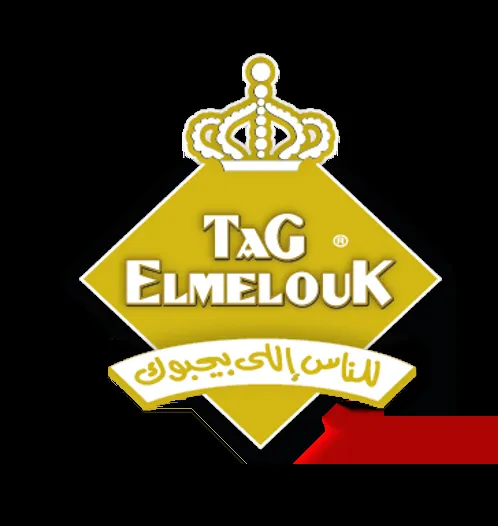 Tag Elmelouk logo