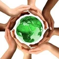 Talipot Technology Solutions