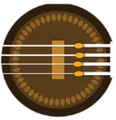 Tamboora