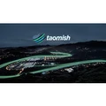 Taomish