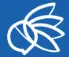 Target First logo