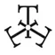 Tashi India Ltd