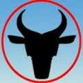 Taurus Hard Soft Solutions