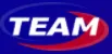 Team Engineering logo