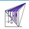 TEAM SRL logo