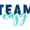 TeamEasy logo