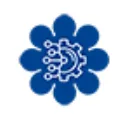 TeamSolve