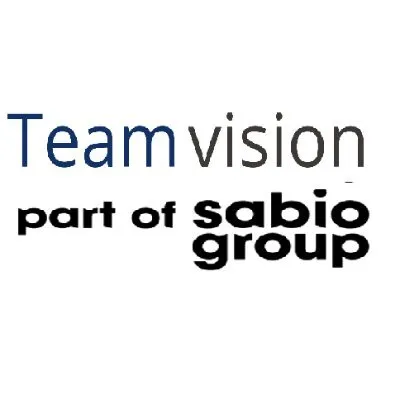 Team vision logo