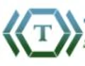 Techavia IT Solutions