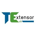 TechExtensor