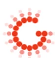 TechGlobe IT Solutions