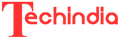 TechIndia Software logo