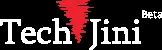 TechJini Solutions logo