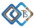 Techly Solutions