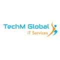 TechM Global iT Services