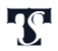 TechSimPlus