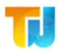 Techsters Web