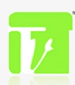 Techview Web Solutions pvt ltd