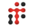 Techvizor logo