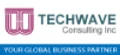Techwave Infotech logo