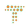 Tecvivid Software Consultancy