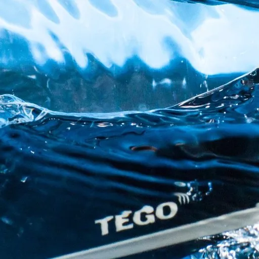 Tego logo