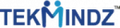 TekMindz logo