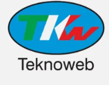 Teknoweb logo