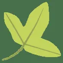 Tela Botanica
