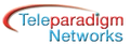 Teleparadigm Networks