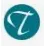 Temkin International logo