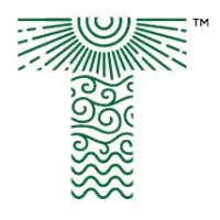 Tensor Dynamics